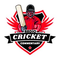 Cricket Commentary Hindi